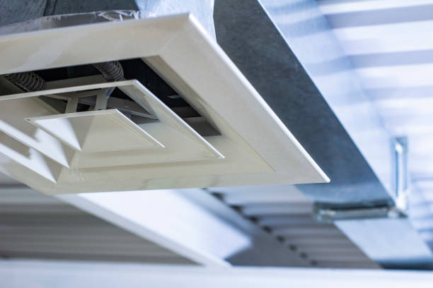 Best HVAC Duct Inspection Services  in Le Roy, IL