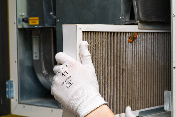 Air Quality Test in Le Roy, IL