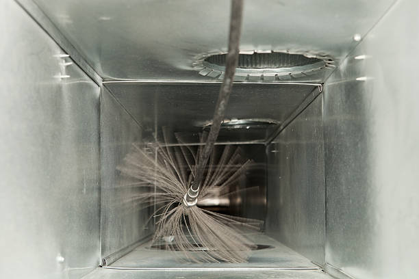 Air Duct Mold Removal in Le Roy, IL